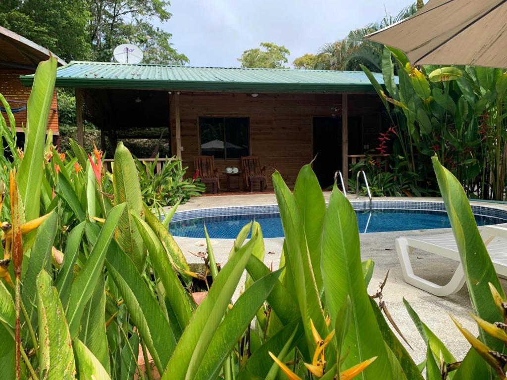 Casa de madera de Ocean Melody 2 con piscina privada entre plantas tropicales