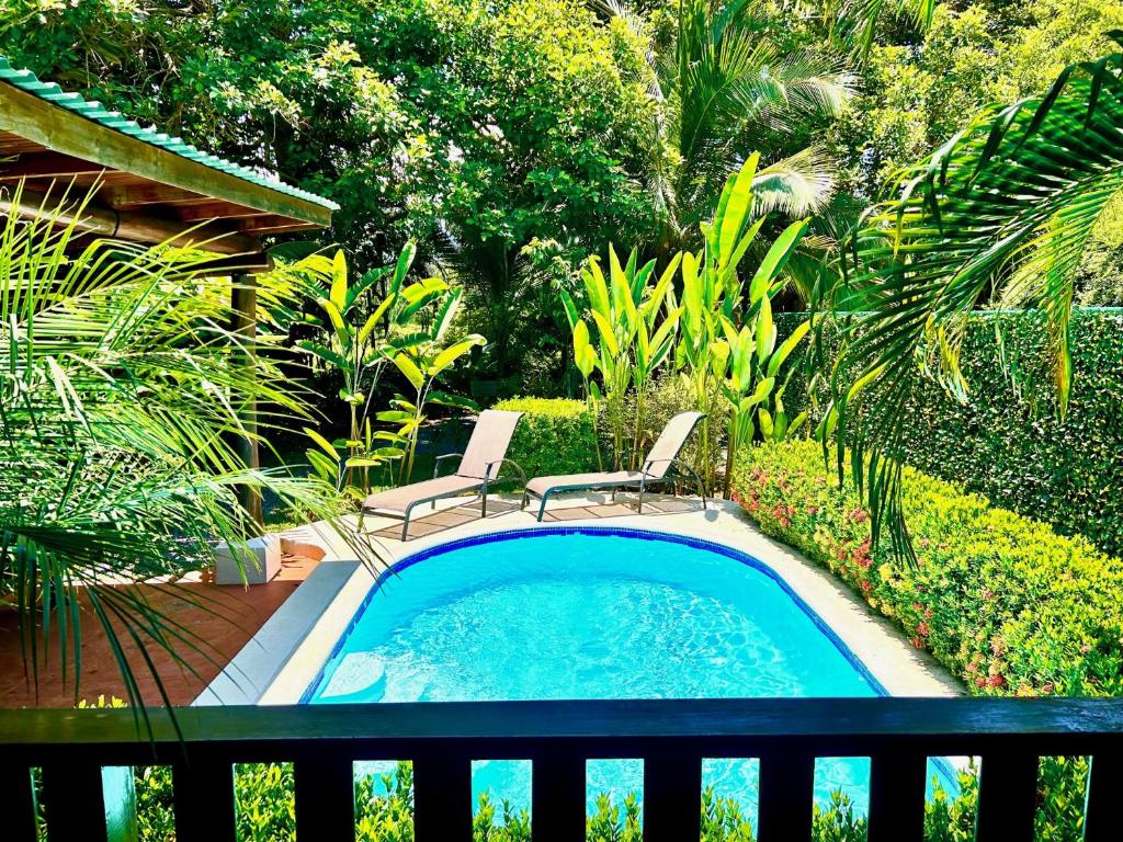 Piscina de Ocean Melody 1 rodeada de palmeras y vegetación